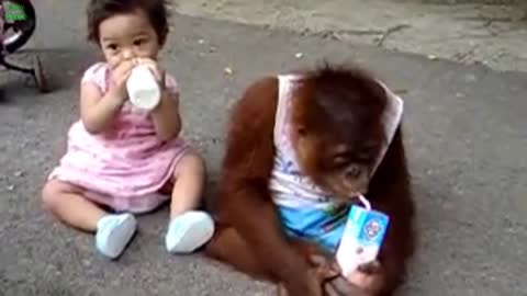 Best Funny Babies and Animals Compilation.