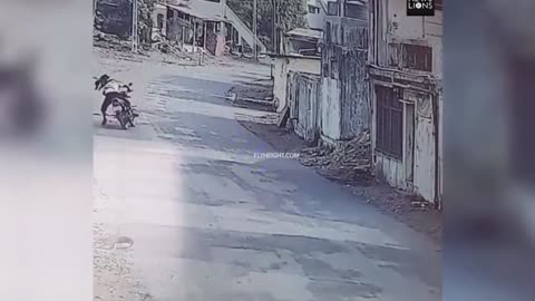 a motorcyclist attacked by a monkey