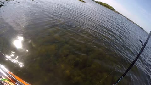 Jack Crevalle in Kayak