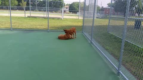 Playing on the tennis court