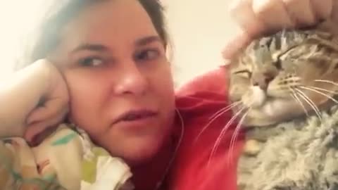 Cat Rejecting Kiss on the Head! Cute 😸