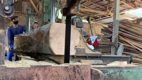 Teak Sawmill Process with Holes 4 Segments of Weling Snake's Nest