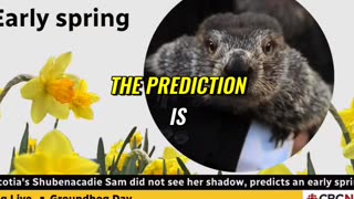 GROUNDHOG DAY 2024..WHAT GROUNDHOG DECIDED