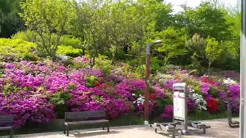 A peaceful little park in Korea.