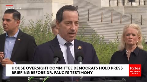 This Is A Sideshow- Jamie Raskin Drops The Hammer On Trump Over COVID-19 As Fauci Testifies
