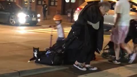 Odd Scene at New York City Crosswalk