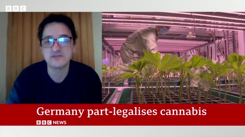 Germany partially decriminalises cannabis