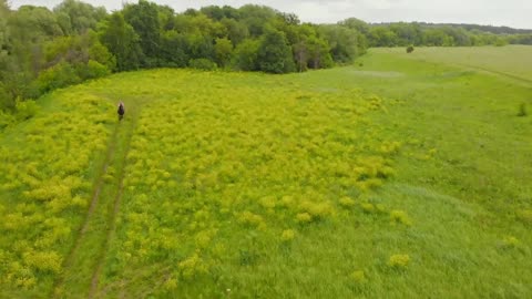 A landscape of the river and a green field - a person riding a horse