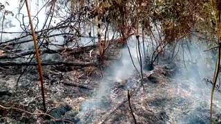 Video: Alerta en Santander por tercer día de incendios en Charta