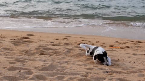 This is my first time at the beach