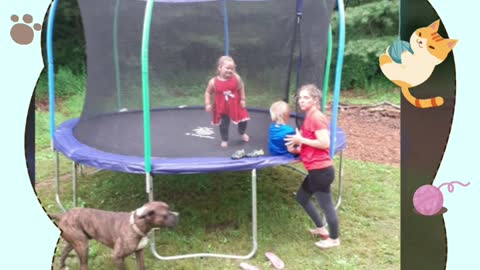 Trampoline build family fun