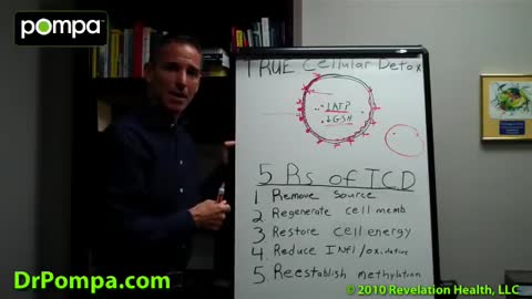 What is True Cellular Detox and Cellular Detoxification - Dr Dan Pompa
