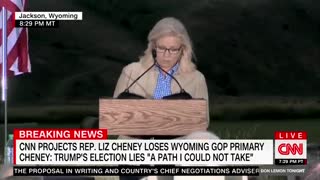 Liz Cheney Likens Herself To Lincoln In DELUSIONAL Speech