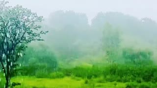 Beautiful Raining in Kathmandu