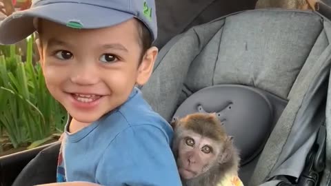 Hilarious Baby and Monkey Compilation: Fun Guaranteed!