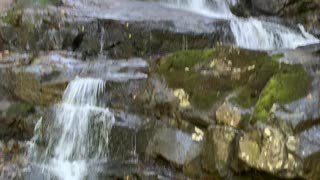 Laurel Falls - Great Smoky Mountains