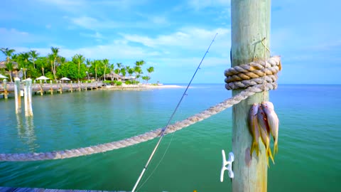 Fish and Fishing Pole on Tropical Dock Tracking Shot