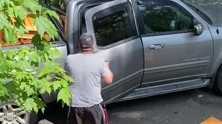 Bear Tries to Enter Visitors Truck