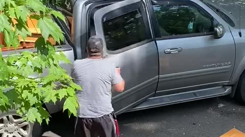 Bear Tries to Enter Visitors Truck