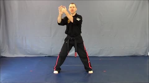 Basic Skillz Purple Belt - Purple Stripe