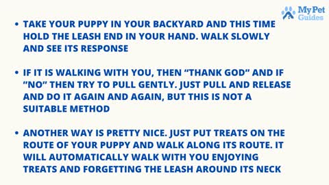 LESH Training your Puppy