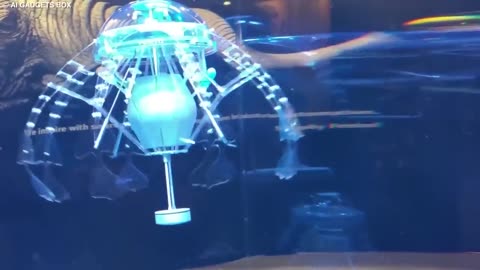 20 Amazing Robot Animals That Will Blow Your Mind | Robotic Creatures Unveiled