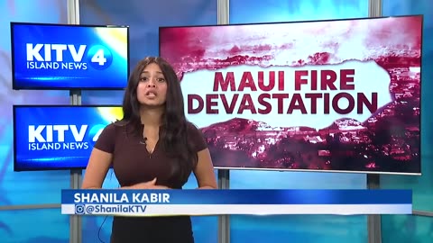 Maui Fires - Looters