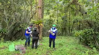 Liberan más de 200 animales silvestres, recuperados en Bucaramanga y el área 2