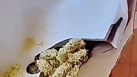 When you love noodles 100%