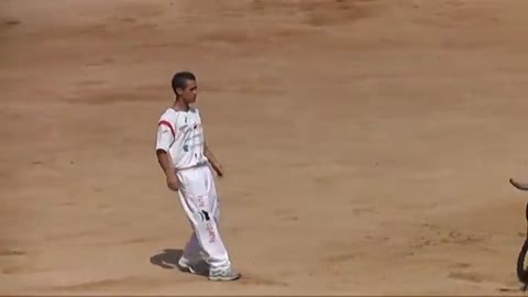 Men challenge the bull in the arena