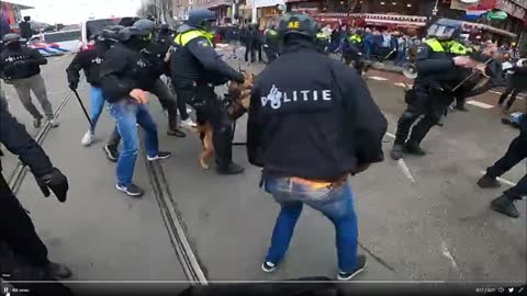 "A more angry World": Killer Dogs unleashed on innocent Amsterdam crowd over Covid protests