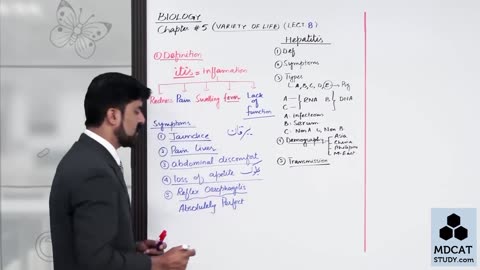 LEC#8 HEPATITIS