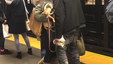 Couple makes out at subway station, guy pours coffee all over womans purse