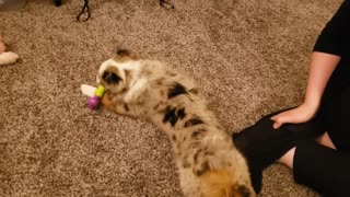 Coco Likes to Lick Momma's Feet