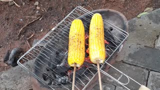 Roasted Corn