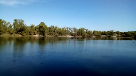 Geese at Watson Park, Wichita, Ks.