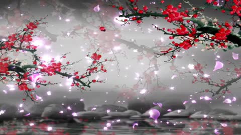 HD background red plum blossoms falling gracefully