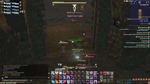FFXIV Palace of The Dead Floors 30 to 40 Ep4 S1