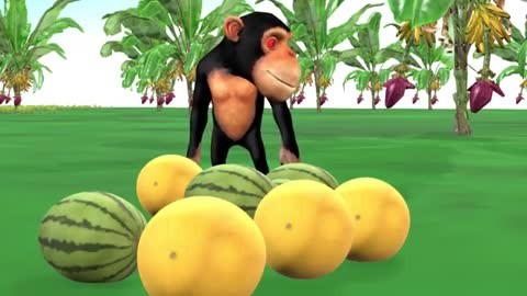 Monkey vs Tigers Funny video | Monkey funny video | Animal funny video | temple run