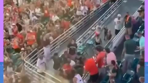 Crowd Safe the day by rescuing cat