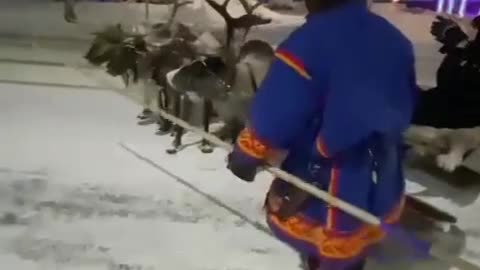 They feed the deer with their own hands
