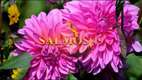 SALMOS 47,48, 49.-Dramatizado