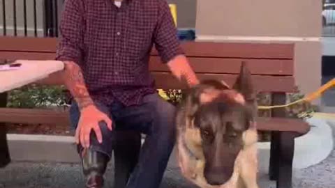 Veteran Amputee Adopts Dog Also Missing His Leg