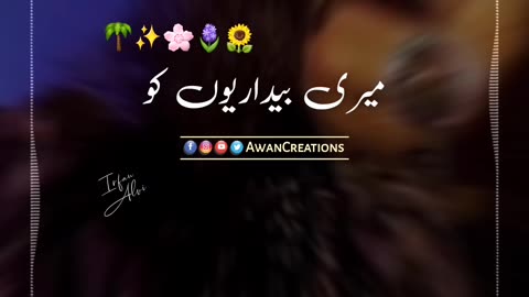 Tu Ne Deewana Banaya To Main Deewana Bana | Abida Parveen | Sufi Song | Status Video | Rumble Video