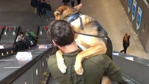 Scared Doggy Gets Carried Down The Escalator