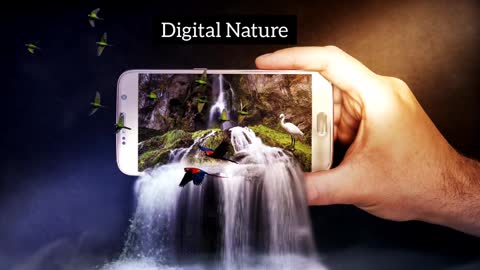 Digital Nature