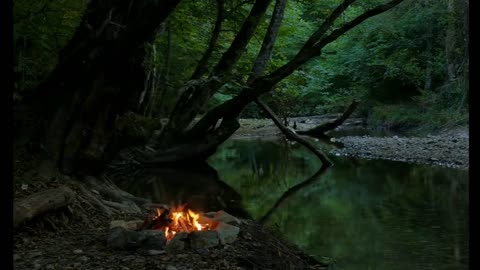 Campfire by the River - Relaxing Fire and Nature Sounds