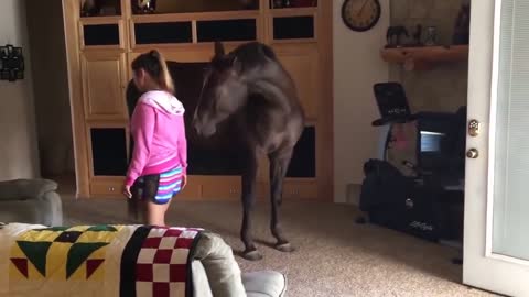 Horse walking in house