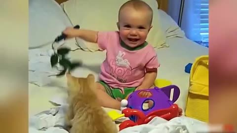 Funny Dogs and Cats Funny Baby Compilation. Video # 42