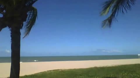 Amazing view on the beach from the side of two coconut trees [Nature & Animals]